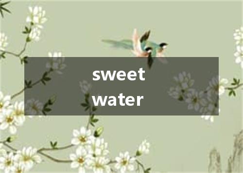 sweet water是什么意思
