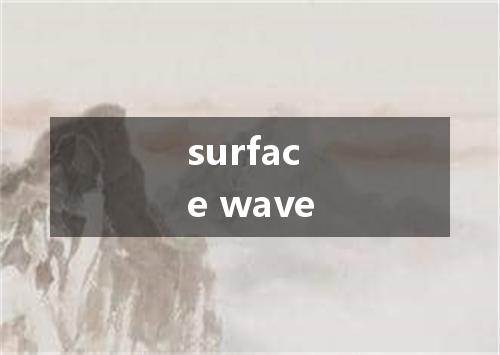 surface wave是什么意思