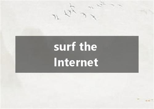 surf the Internet是什么意思