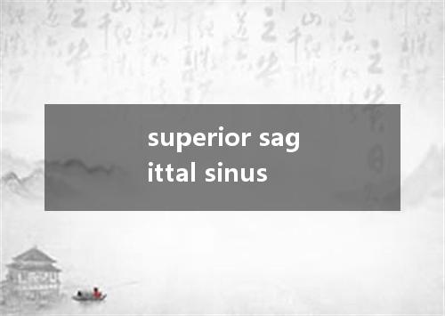 superior sagittal sinus是什么意思