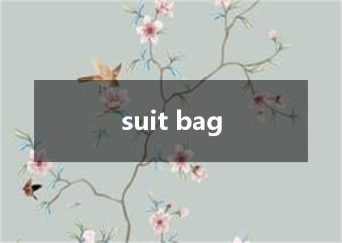 suit bag是什么意思