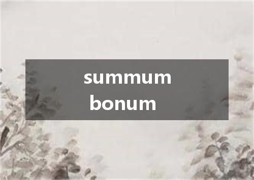 summum bonum是什么意思