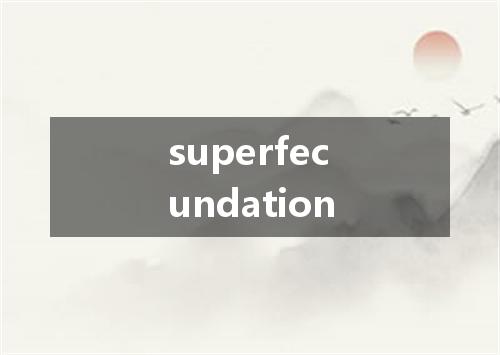 superfecundation是什么意思