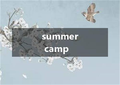 summer camp是什么意思