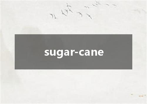 sugar-cane是什么意思