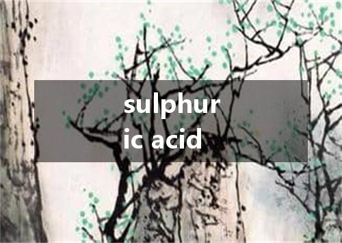 sulphuric acid是什么意思