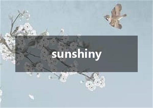 sunshiny是什么意思