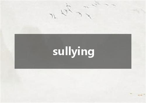 sullying是什么意思