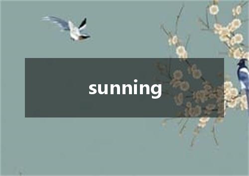 sunning是什么意思
