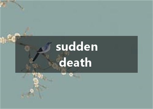 sudden death是什么意思
