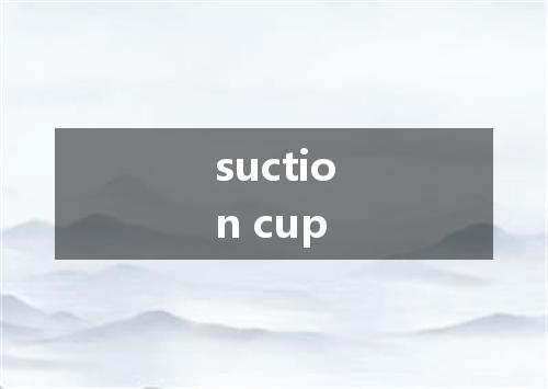 suction cup是什么意思