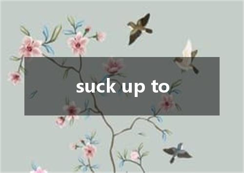 suck up to是什么意思