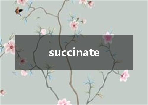 succinate是什么意思