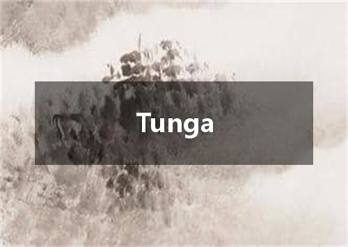 Tunga是什么意思