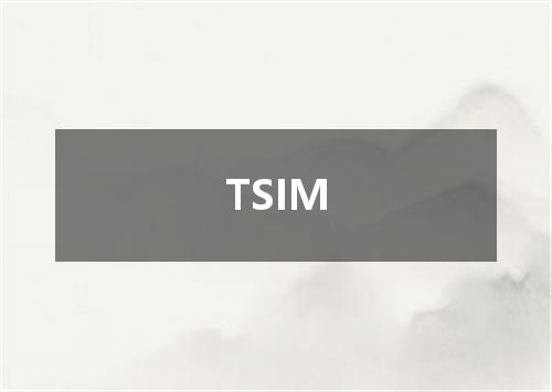 TSIM是什么意思