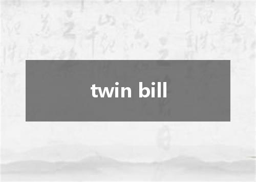 twin bill是什么意思
