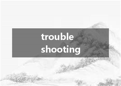 trouble shooting是什么意思
