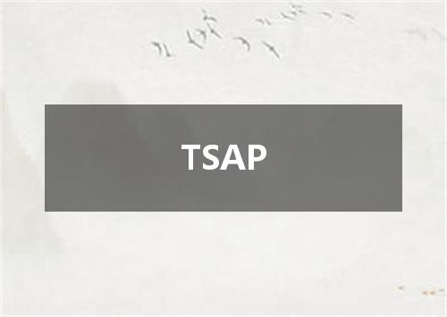 TSAP是什么意思