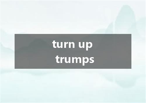turn up trumps是什么意思