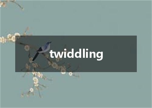 twiddling是什么意思