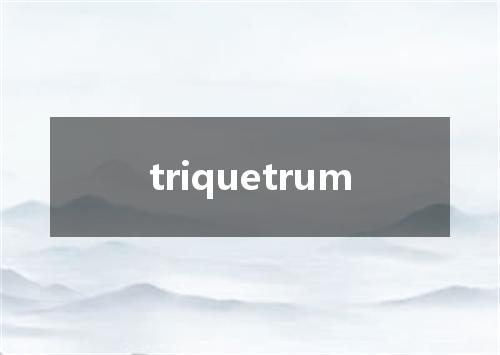 triquetrum是什么意思