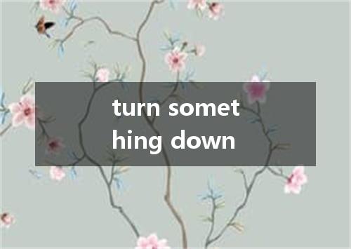 turn something down是什么意思