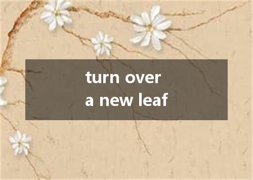 turn over a new leaf是什么意思