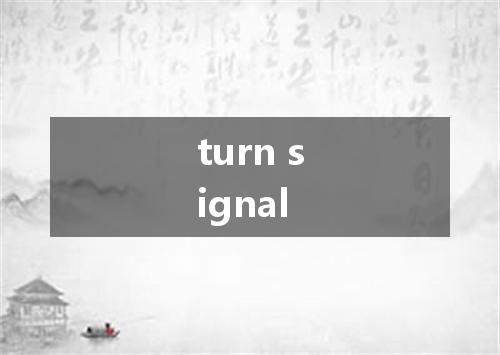 turn signal是什么意思