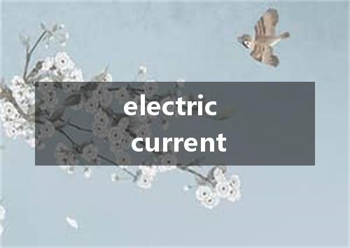 electric current是什么意思