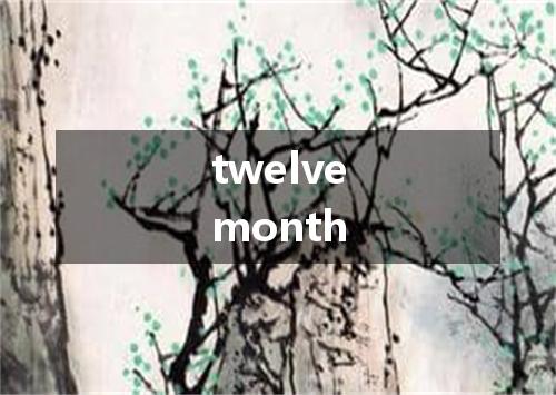 twelvemonth是什么意思