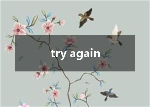 try again是什么意思