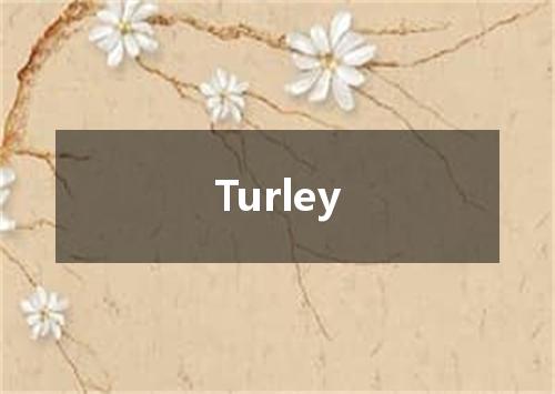 Turley是什么意思