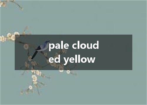 pale clouded yellow是什么意思