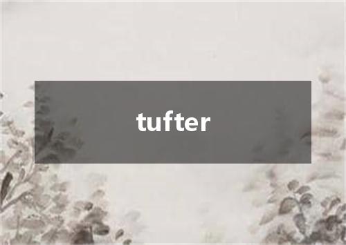 tufter是什么意思