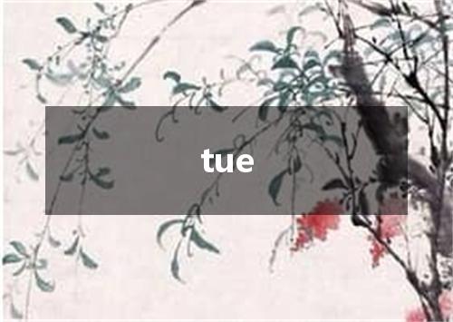 tue是什么意思