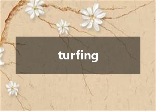 turfing是什么意思