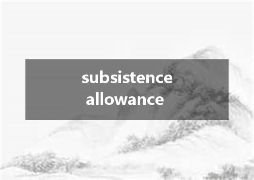 subsistence allowance是什么意思