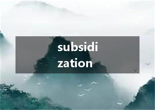subsidization是什么意思