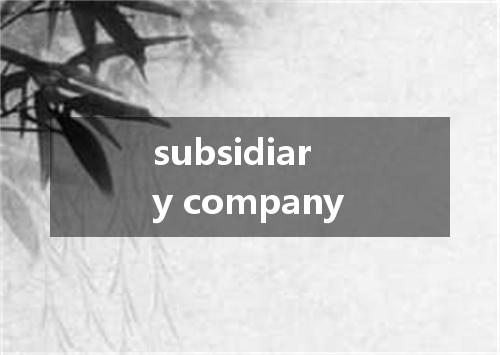 subsidiary company是什么意思