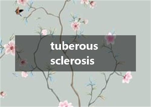 tuberous sclerosis是什么意思