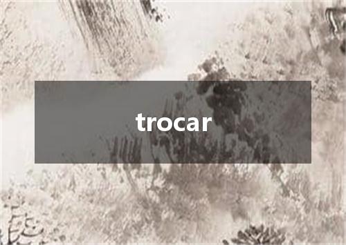 trocar是什么意思
