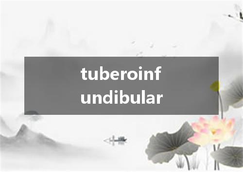 tuberoinfundibular是什么意思