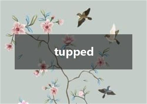 tupped是什么意思