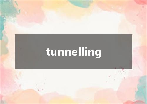 tunnelling是什么意思
