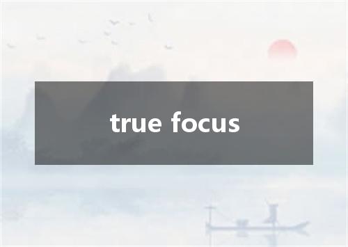 true focus是什么意思