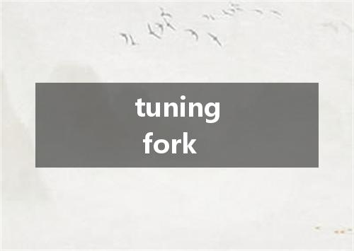 tuning fork是什么意思
