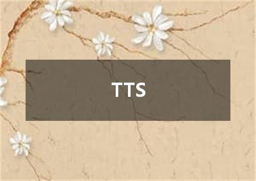 TTS是什么意思