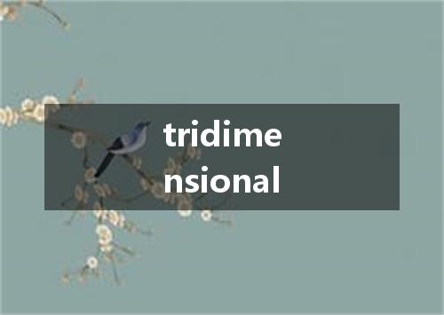 tridimensional是什么意思
