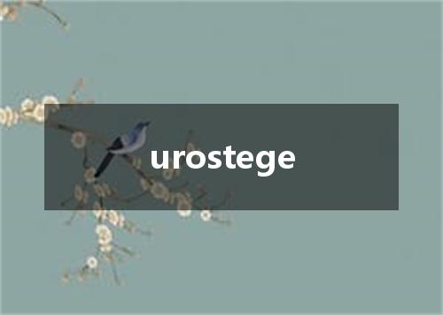 urostege是什么意思