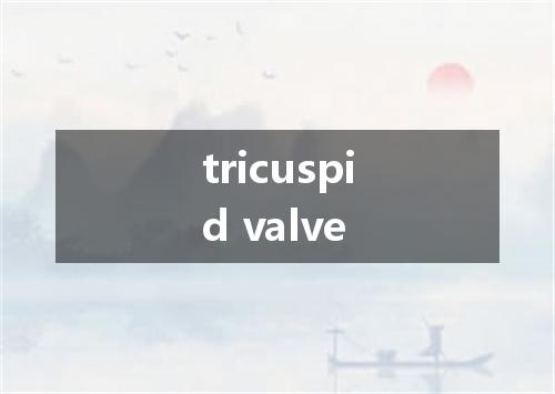 tricuspid valve是什么意思